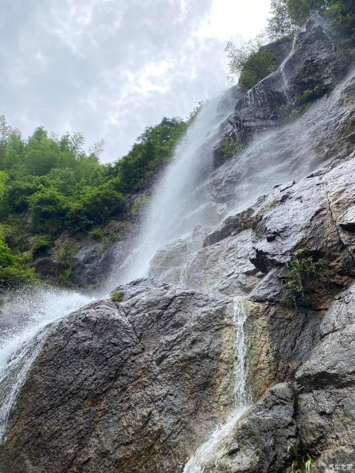 春雨直播app